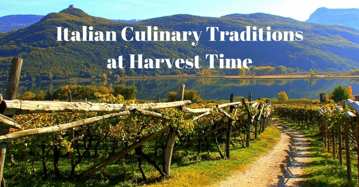 cucina-toscana-italian-culinary-traditions-at-harvest-time